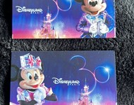 Biglietti Disneyland + voucher pranzi/cene/colazioni 